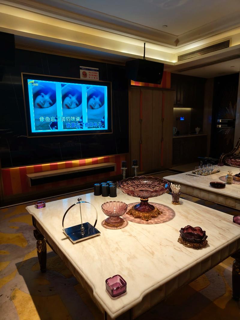 商丘商务ktv怎么玩全攻略揭秘-睢阳区ktv预订